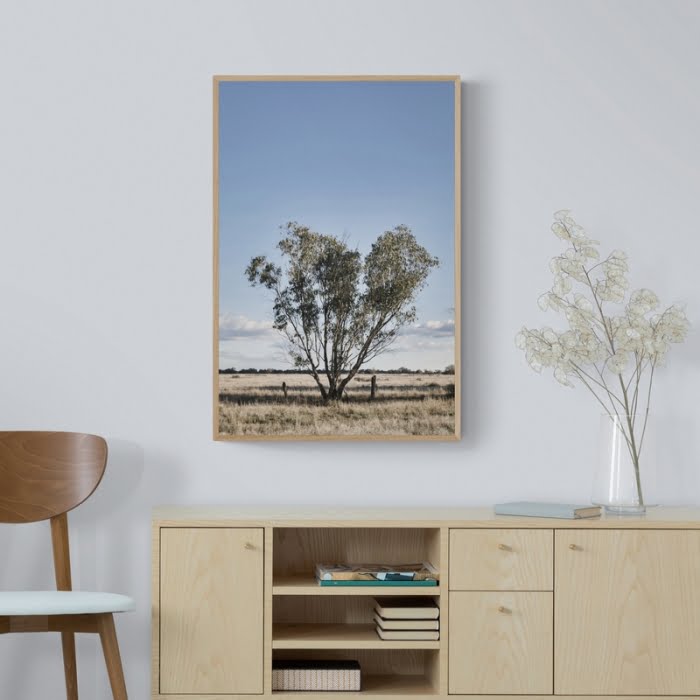 Tree on the plains - Native Prints - Order Prints Online