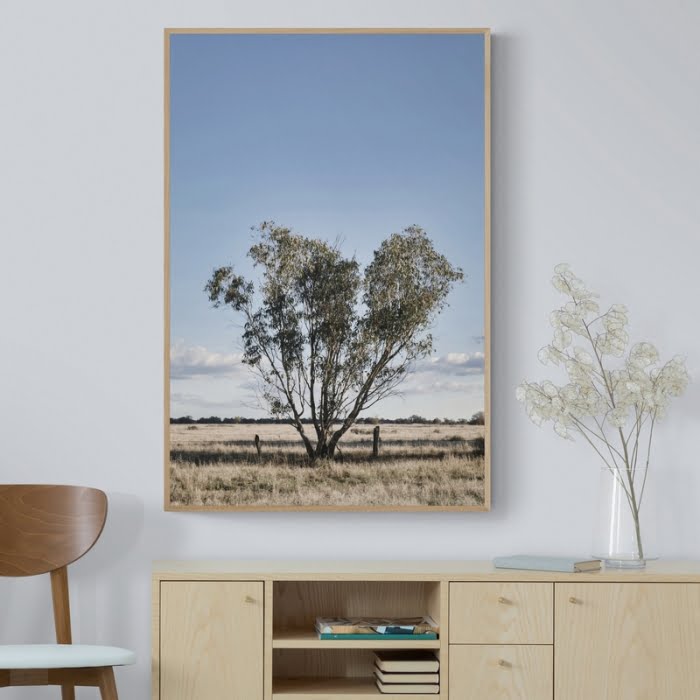 Tree on the plains - Native Prints - Order Prints Online