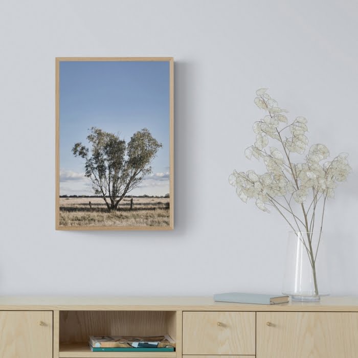 Tree on the plains - Native Prints - Order Prints Online